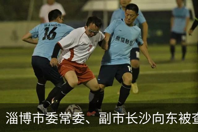 淄博市委常委、副市长沙向东被查：临近退休，半生城建路戛然而止